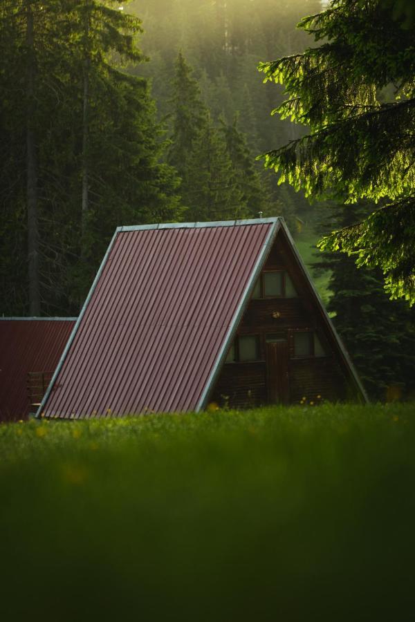Complex Malina Pamporovo Villa Eksteriør bilde