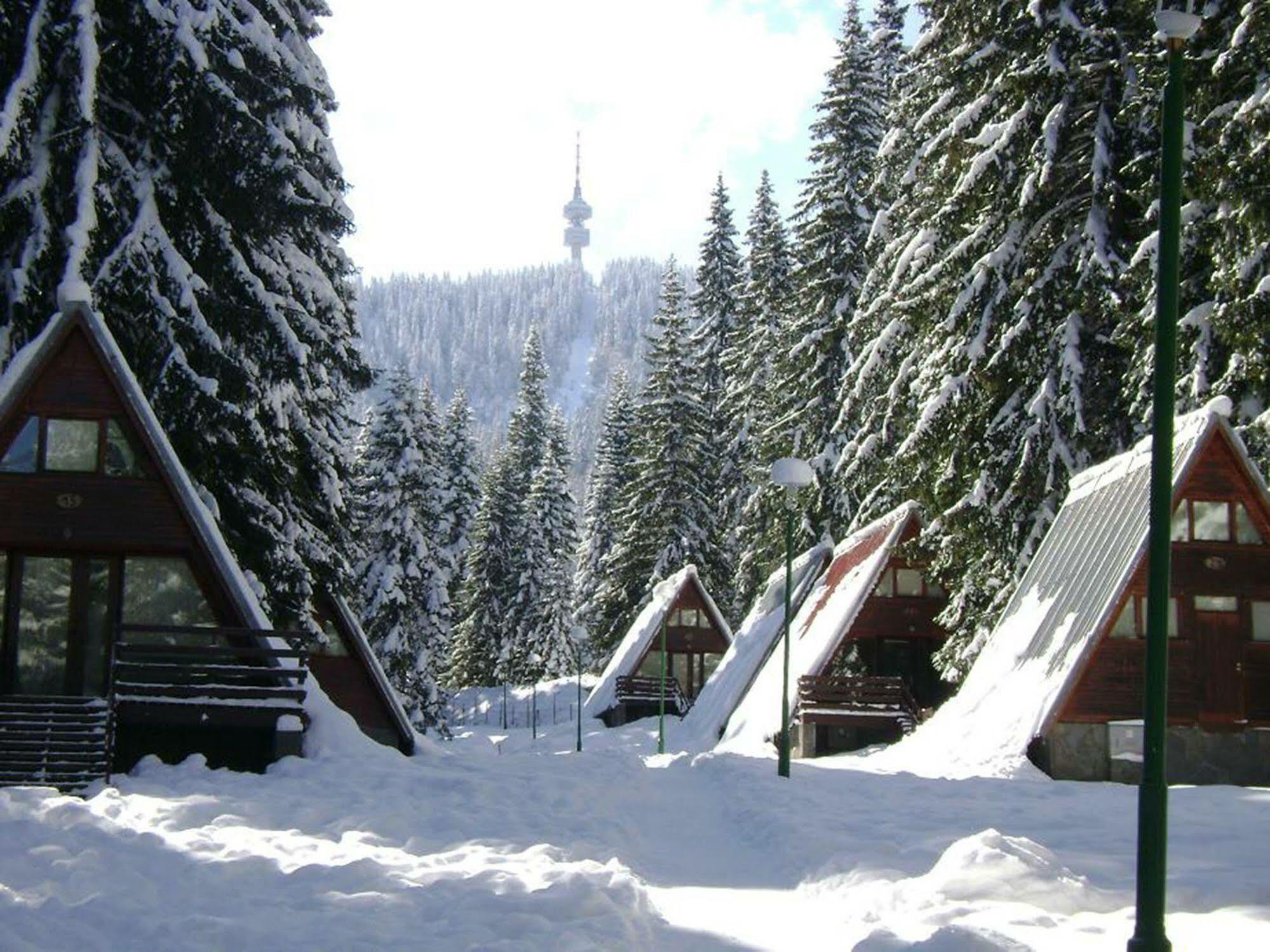 Complex Malina Pamporovo Villa Eksteriør bilde