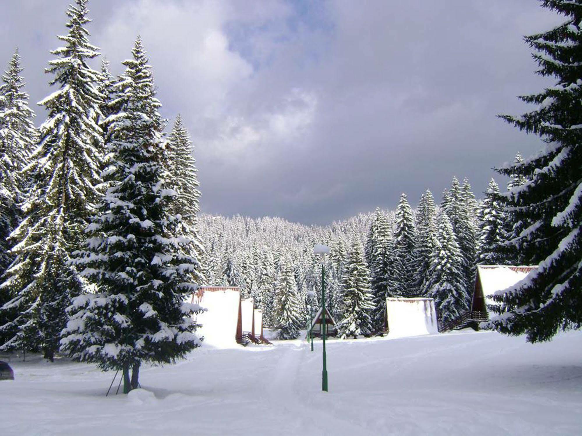 Complex Malina Pamporovo Villa Eksteriør bilde