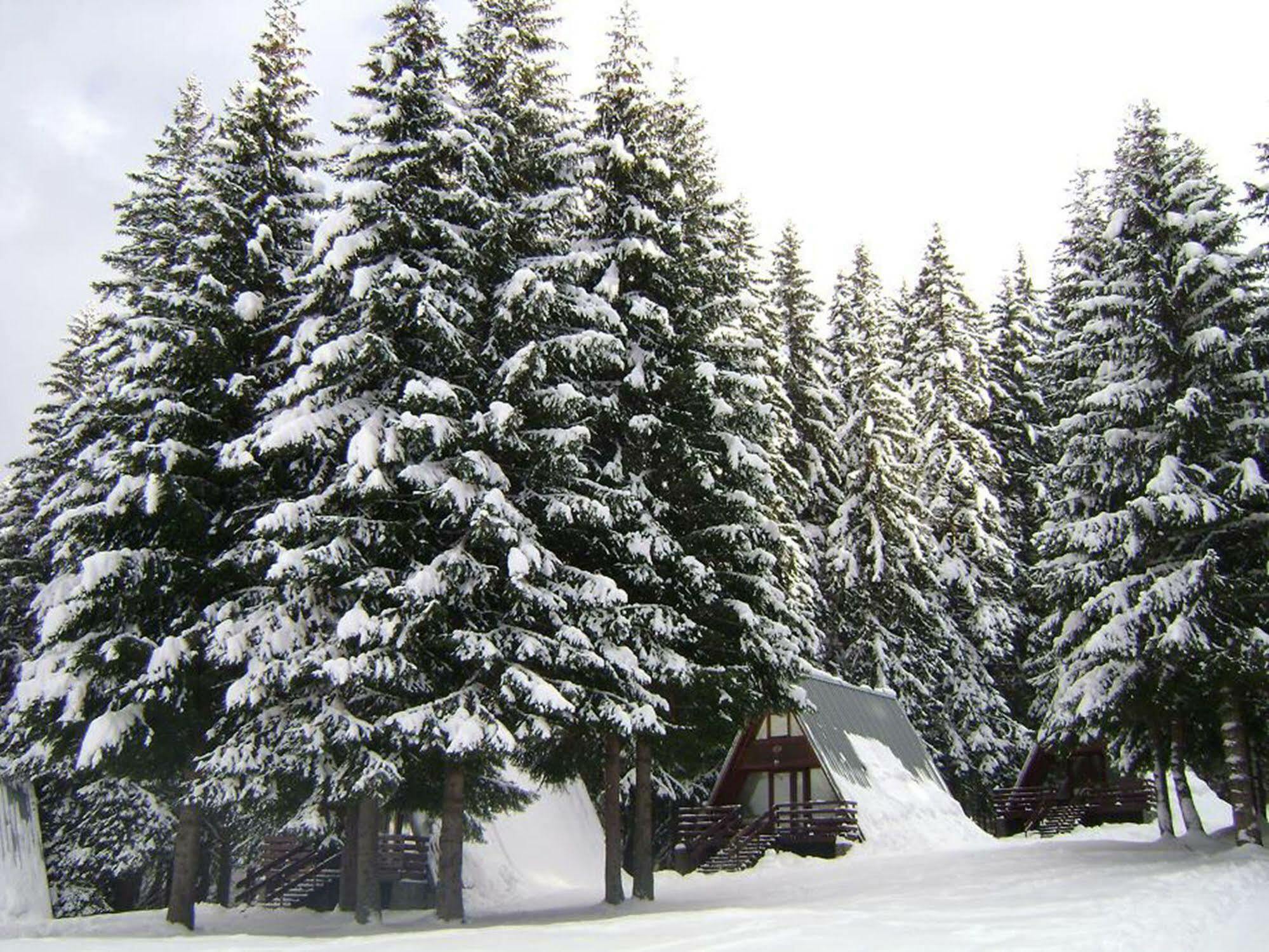 Complex Malina Pamporovo Villa Eksteriør bilde